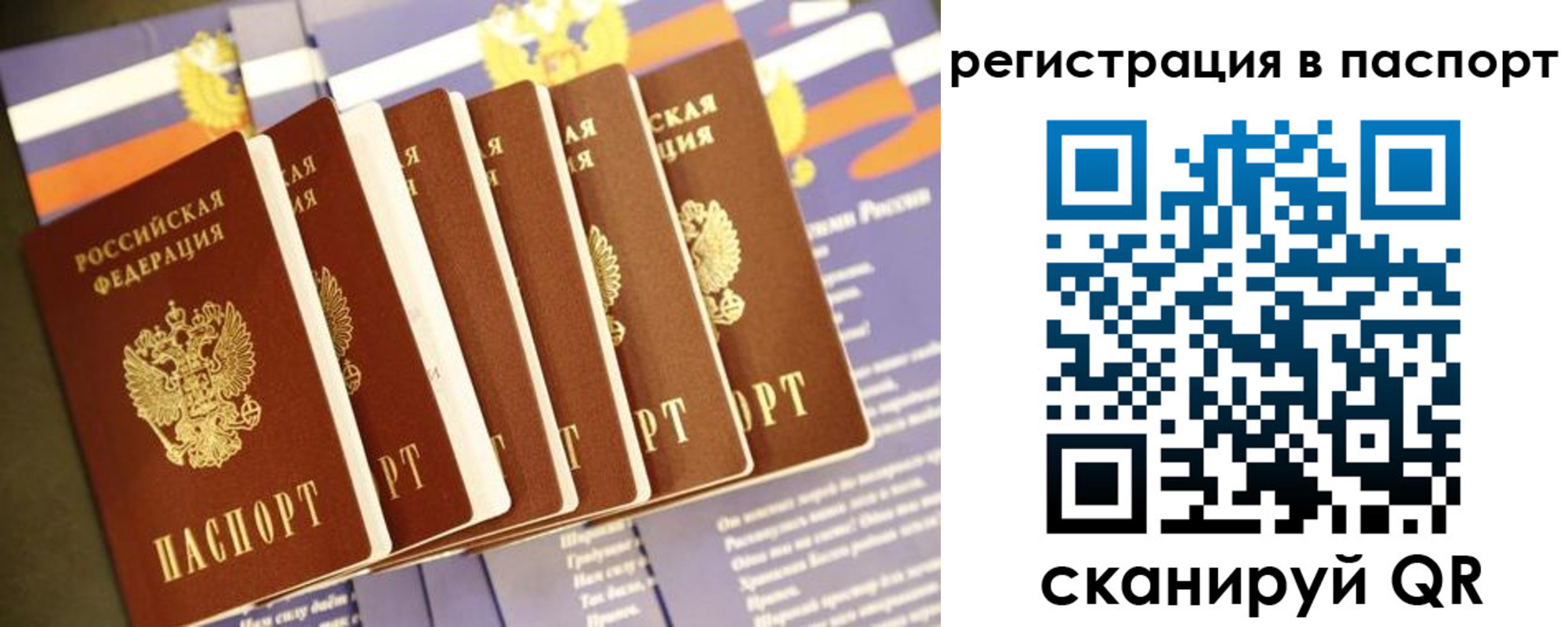 прописка ребенка в Дубовке